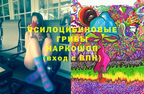 амф Абаза