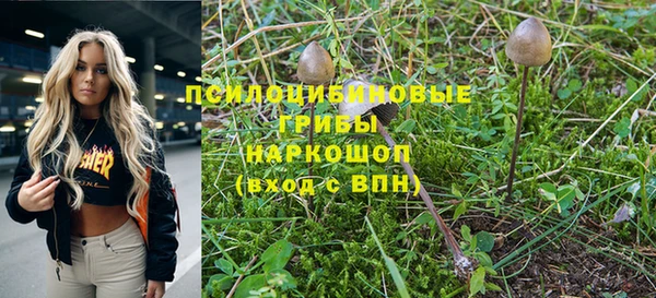 2c-b Алексеевка