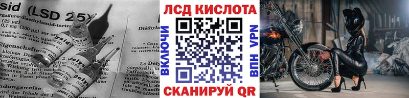 дарк нет состав  как найти наркотики  гидра tor  Пудож  Лсд 25 экстази ecstasy 