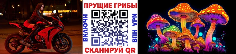 Псилоцибиновые грибы Cubensis  даркнет Telegram  Пудож  купить наркотики цена 